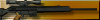 PSG1